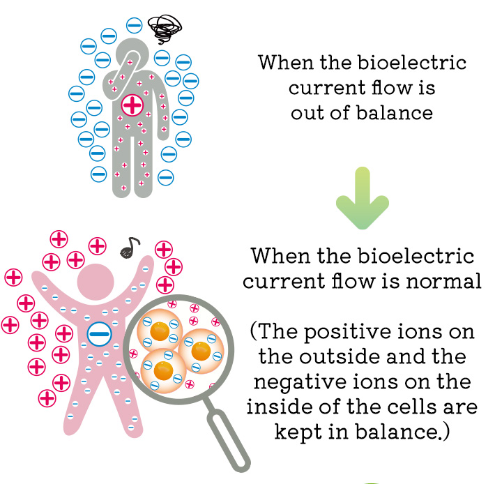 bioelectric current flow